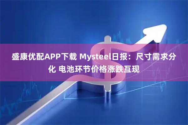 盛康优配APP下载 Mysteel日报：尺寸需求分化 电池环节价格涨跌互现
