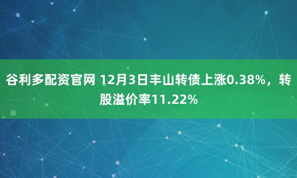 谷利多配资官网 12月3日丰山转债上涨0.38%，转股溢价率11.22%