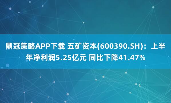鼎冠策略APP下载 五矿资本(600390.SH)：上半年净利润5.25亿元 同比下降41.47%