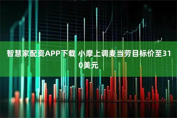 智慧家配资APP下载 小摩上调麦当劳目标价至310美元