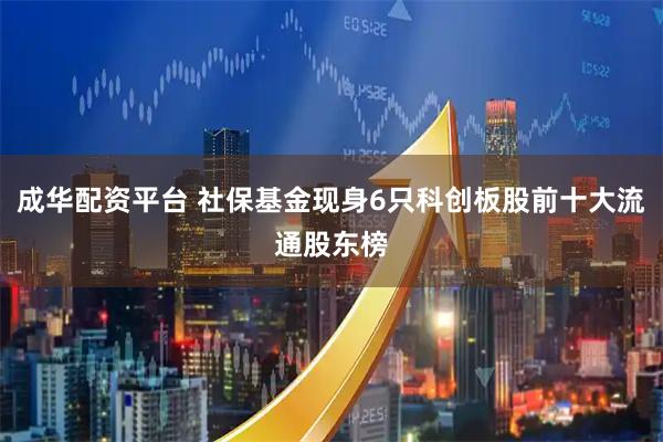 成华配资平台 社保基金现身6只科创板股前十大流通股东榜