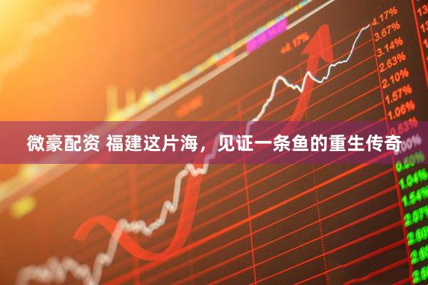微豪配资 福建这片海，见证一条鱼的重生传奇