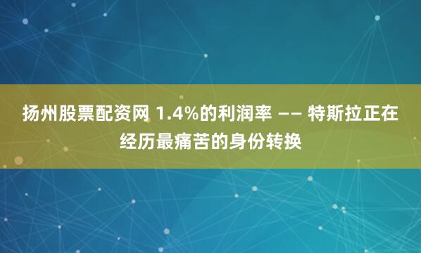 扬州股票配资网 1.4%的利润率 —— 特斯拉正在经历最痛苦的身份转换